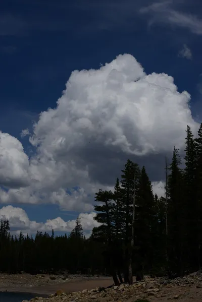 DSC_3187 (Large).JPG